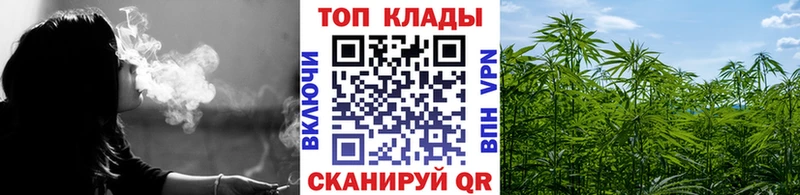 Магазины продажи наркотиков Кувандык мега зеркало  Кокаин  Псилоцибиновые грибы  МЕФ  Амфетамин  Гашиш 