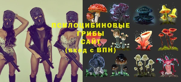 крисы Куйбышев