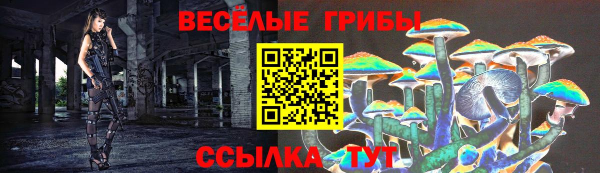 Кувандык  Псилоцибиновые грибы ЛСД  Псилоцибиновые грибы Cubensis  Вход с VPN 