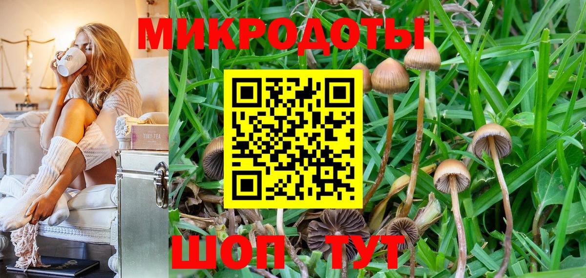 Псилоцибиновые грибы MAGIC MUSHROOMS Кувандык